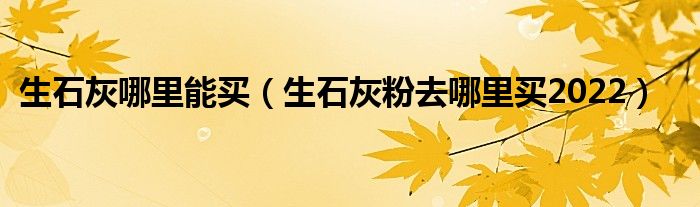 生石灰哪里能买（生石灰粉去哪里买2022）