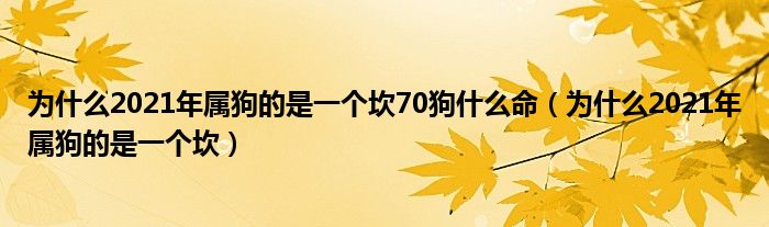 为什么2021年属狗的是一个坎70狗什么命（为什么2021年属狗的是一个坎）