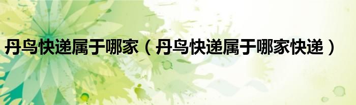 丹鸟快递属于哪家（丹鸟快递属于哪家快递）