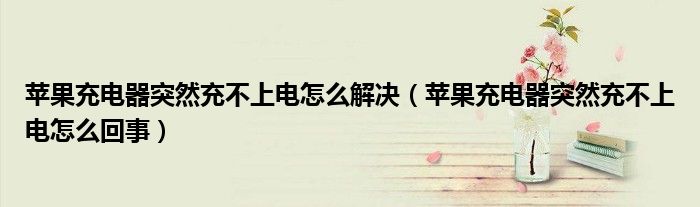 苹果充电器突然充不上电怎么解决（苹果充电器突然充不上电怎么回事）