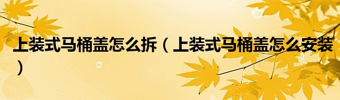 上装式马桶盖怎么拆（上装式马桶盖怎么安装）