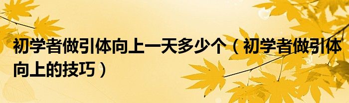 初学者做引体向上一天多少个（初学者做引体向上的技巧）