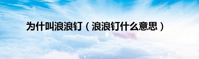 为什叫浪浪钉（浪浪钉什么意思）