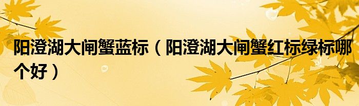 阳澄湖大闸蟹蓝标（阳澄湖大闸蟹红标绿标哪个好）