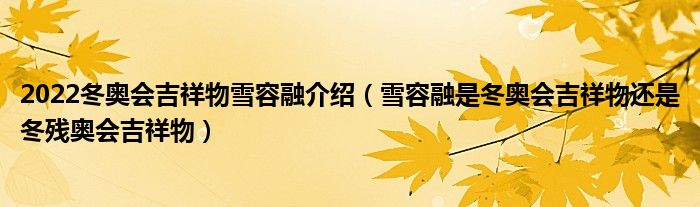 2022冬奥会吉祥物雪容融介绍（雪容融是冬奥会吉祥物还是冬残奥会吉祥物）
