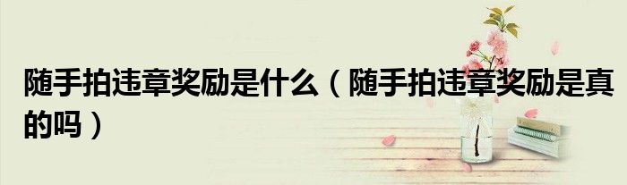 随手拍违章奖励是什么（随手拍违章奖励是真的吗）