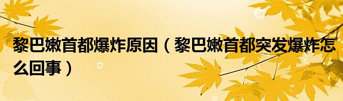 黎巴嫩首都爆炸原因（黎巴嫩首都突发爆炸怎么回事）