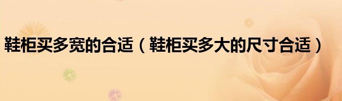 鞋柜买多宽的合适（鞋柜买多大的尺寸合适）