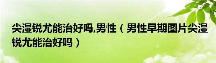 尖湿锐尤能治好吗,男性（男性早期图片尖湿锐尤能治好吗）