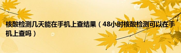 核酸检测几天能在手机上查结果（48小时核酸检测可以在手机上查吗）