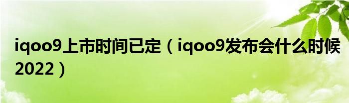 iqoo9上市时间已定（iqoo9发布会什么时候2022）
