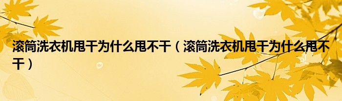滚筒洗衣机甩干为什么甩不干（滚筒洗衣机甩干为什么甩不干）