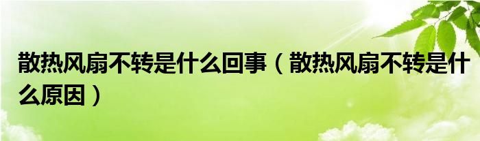 散热风扇不转是什么回事（散热风扇不转是什么原因）