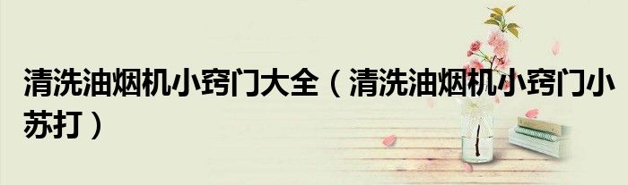 清洗油烟机小窍门大全（清洗油烟机小窍门小苏打）