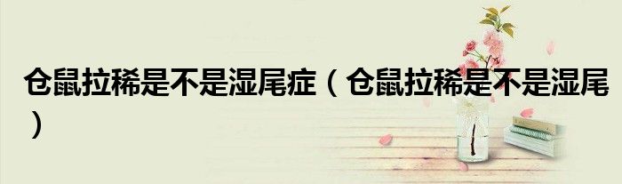 仓鼠拉稀是不是湿尾症（仓鼠拉稀是不是湿尾）