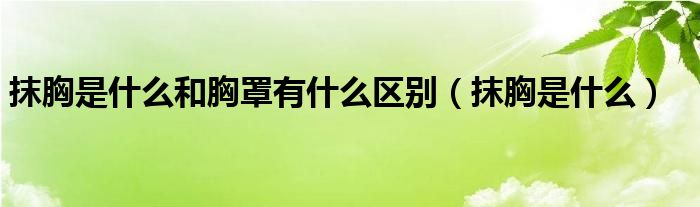抹胸是什么和胸罩有什么区别（抹胸是什么）