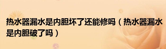 热水器漏水是内胆坏了还能修吗（热水器漏水是内胆破了吗）