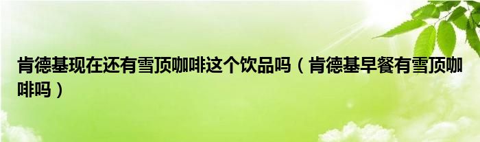 肯德基现在还有雪顶咖啡这个饮品吗（肯德基早餐有雪顶咖啡吗）