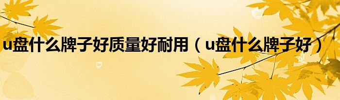 u盘什么牌子好质量好耐用（u盘什么牌子好）