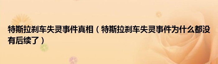特斯拉刹车失灵事件真相（特斯拉刹车失灵事件为什么都没有后续了）