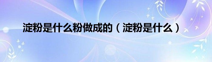淀粉是什么粉做成的（淀粉是什么）