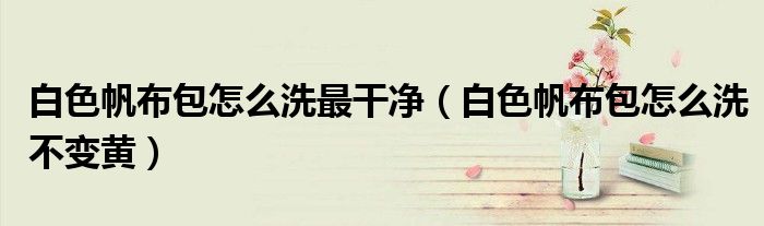 白色帆布包怎么洗最干净（白色帆布包怎么洗不变黄）