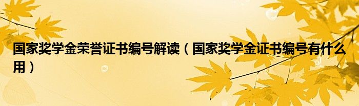 国家奖学金荣誉证书编号解读（国家奖学金证书编号有什么用）