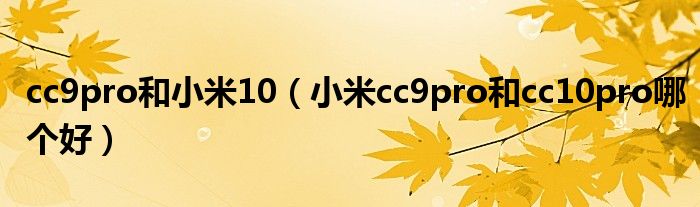 cc9pro和小米10（小米cc9pro和cc10pro哪个好）