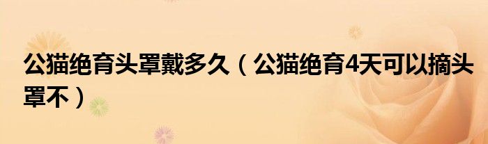 公猫绝育头罩戴多久（公猫绝育4天可以摘头罩不）
