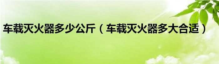 车载灭火器多少公斤（车载灭火器多大合适）