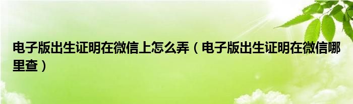 电子版出生证明在微信上怎么弄（电子版出生证明在微信哪里查）