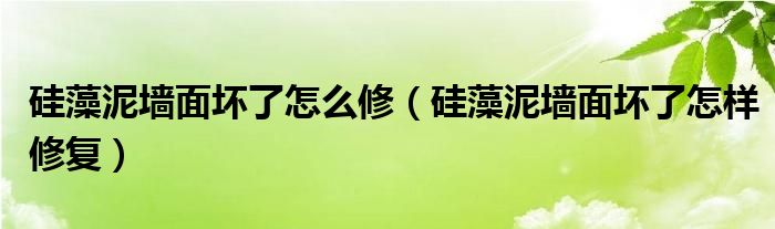 硅藻泥墙面坏了怎么修（硅藻泥墙面坏了怎样修复）