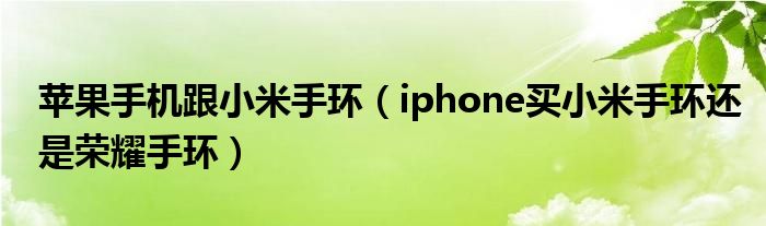 苹果手机跟小米手环（iphone买小米手环还是荣耀手环）