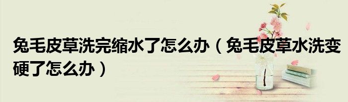 兔毛皮草洗完缩水了怎么办（兔毛皮草水洗变硬了怎么办）