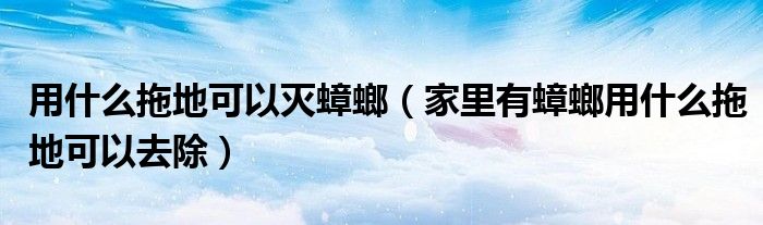 用什么拖地可以灭蟑螂（家里有蟑螂用什么拖地可以去除）