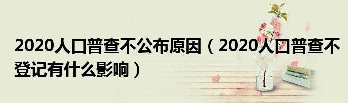 2020人口普查不公布原因（2020人口普查不登记有什么影响）