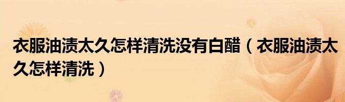衣服油渍太久怎样清洗没有白醋（衣服油渍太久怎样清洗）