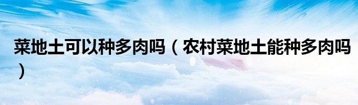 菜地土可以种多肉吗（农村菜地土能种多肉吗）