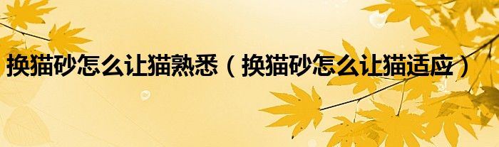 换猫砂怎么让猫熟悉（换猫砂怎么让猫适应）