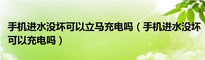 手机进水没坏可以立马充电吗（手机进水没坏可以充电吗）