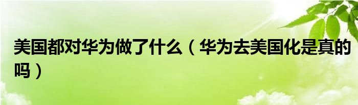 美国都对华为做了什么（华为去美国化是真的吗）