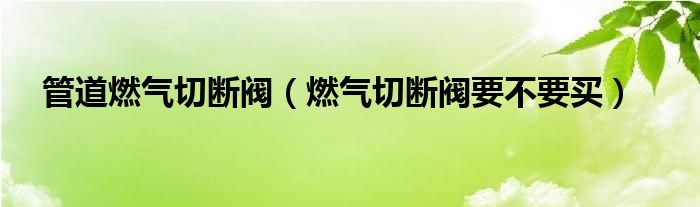 管道燃气切断阀（燃气切断阀要不要买）