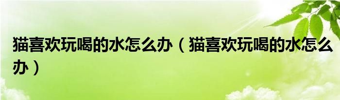 猫喜欢玩喝的水怎么办（猫喜欢玩喝的水怎么办）