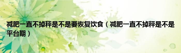 减肥一直不掉秤是不是要恢复饮食（减肥一直不掉秤是不是平台期）