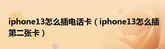 iphone13怎么插电话卡（iphone13怎么插第二张卡）