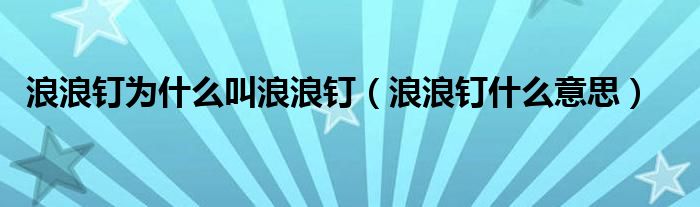 浪浪钉为什么叫浪浪钉（浪浪钉什么意思）