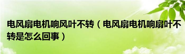 电风扇电机响风叶不转（电风扇电机响扇叶不转是怎么回事）