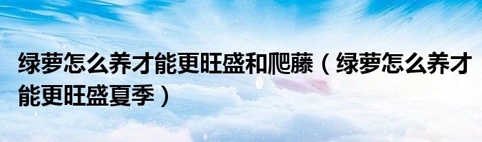 绿萝怎么养才能更旺盛和爬藤（绿萝怎么养才能更旺盛夏季）