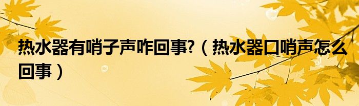 热水器有哨子声咋回事?（热水器口哨声怎么回事）