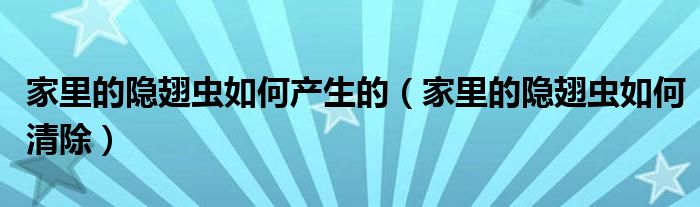 家里的隐翅虫如何产生的（家里的隐翅虫如何清除）